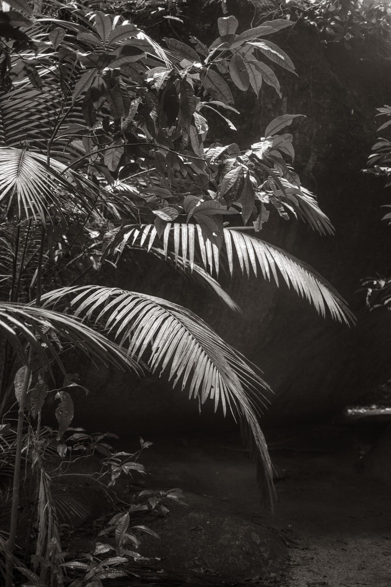 &copy; Laurent Gueneau