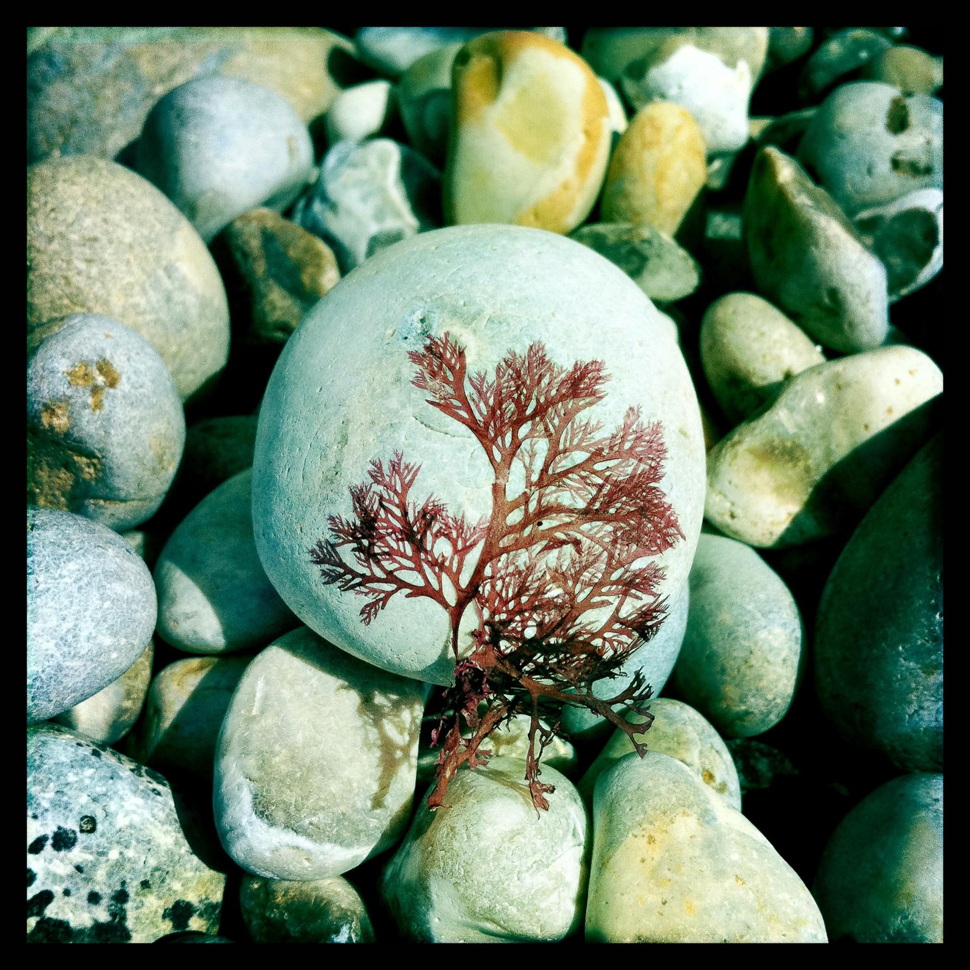 &copy; Na&iuml;ade Plante&nbsp;